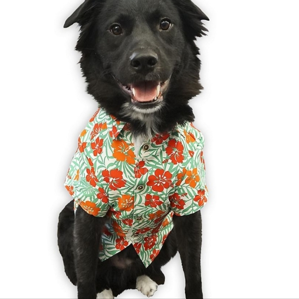 Dog Hawaiian Shirt Floral Pet Shirt Button Up Summer Cute Nwt